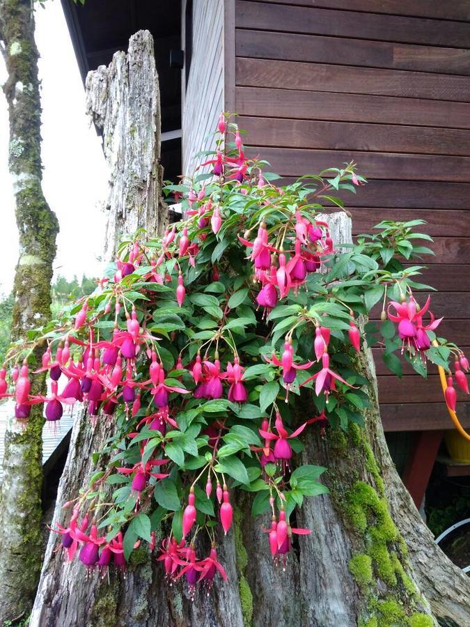 Spring Garden Hotel Kampong Kundassan Eksteriør billede