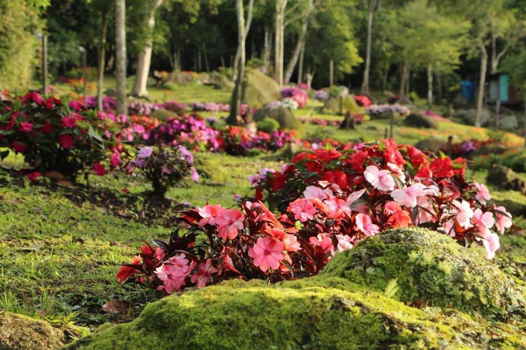 Spring Garden Hotel Kampong Kundassan Eksteriør billede